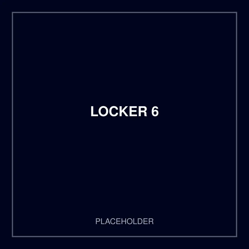 Steel Locker 6 Compartment